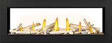 Load image into Gallery viewer, Napoleon - Vector Series See Through Gas Fireplace ***DISCONTINUED