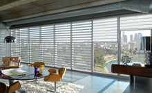 Load image into Gallery viewer, Hunter Douglas - Pirouette®
