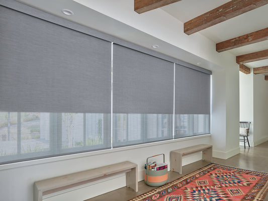 Hunter Douglas - Designer Roller Shades