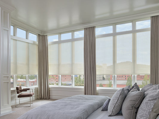 Hunter Douglas - Designer Screen Roller Shade