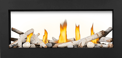 Napoleon - Vector Series See Through Gas Fireplace